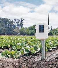 station meteo auxilaire spécialisée en agriculture. Comprend 2 humectomètres, 4 sondes d'humidité du sol Watermark et 4 sondes de température. n°6345ov Davis Instruments. Ici la station est installée en plein champ.